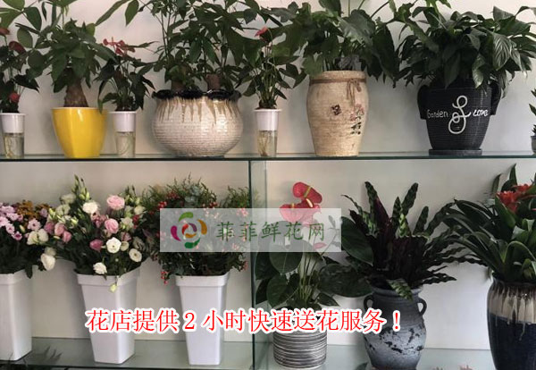 梅州蕉岭县花店提供梅州蕉岭县2小时快速送花服务